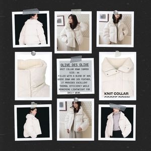 Olives Des Olive Knit Collar Jumper